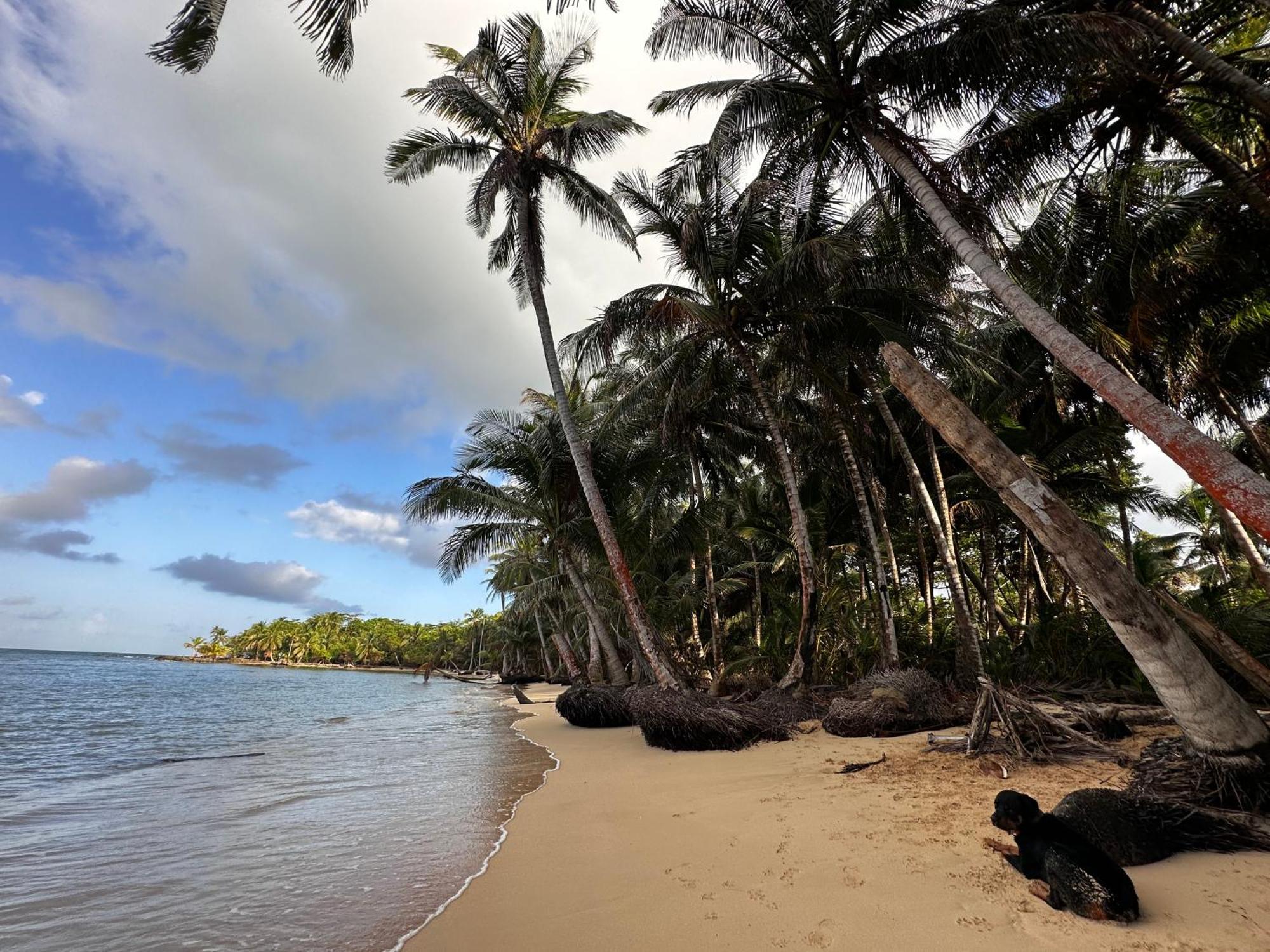 Villa Ensuenos Natural Reserve Little Corn Island Nicaragua Exterior foto